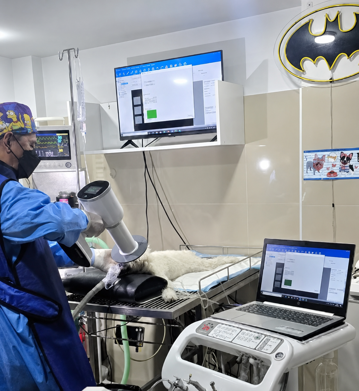 Odontología Veterinaria con Rayos X Intraorales